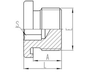 公製外螺紋ED膠墊密（mì）封內六（liù）角堵（dǔ）頭